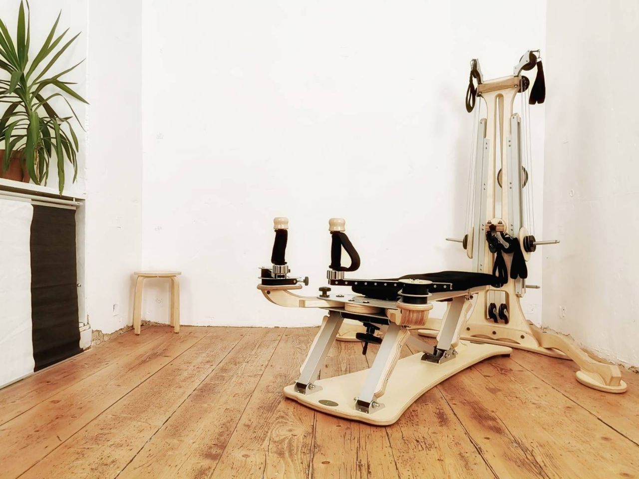 Gyrotonic Training